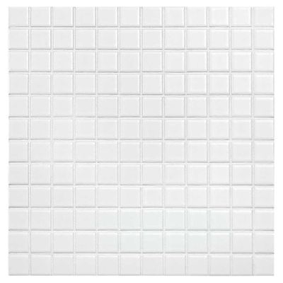 Aquacolor Porcelai Wandtegel | 30x30 cm | Mat Wit