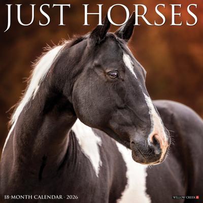 Paarden Kalender 2026