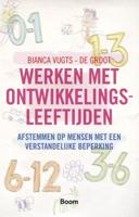 Werken met ontwikkelingsleeftijden (Paperback)