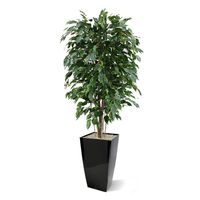 Ficus Exotica deluxe kunstplant 150cm - groen