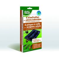 Kleefvallen tegen spinnen, 6 stuks Insectenval