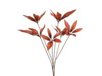 Kunstbloem pachira rust, 82 cm - Hortus