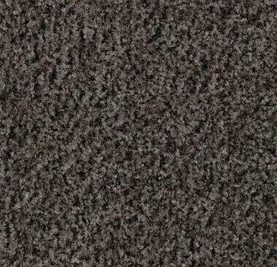 Coral Brush 5714 shark grey 155 cm breed