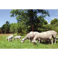 KERBL Schapennet - Electrificeerbare ovinet - 14 palen - Hoogte 90cm - Lengte 50m KERBL Schapennet - Electrificeerbare ovinet - 14 palen - Hoogte 90cm - Lengte 50m