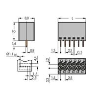 WAGO 2080-504 Veerkrachtklemblok 1 mm² Aantal polen 4 Grijs 100 stuk(s) - thumbnail