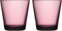 Iittala Waterglazen Kartio - Calluna - 210 ml - 2 Stuks