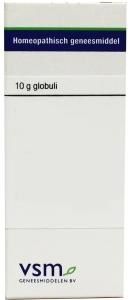 VSM Ginkgo biloba D12 (10 gr)