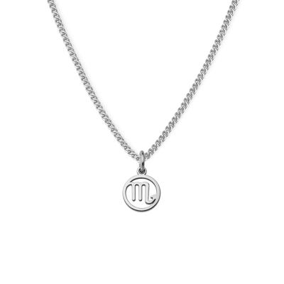 Minimalistische sterrenbeeld ketting - Stainless steel - Zilver - Schorpioen - Scorpius