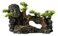 Superfish Deco Bonsai XL - Japanse Aquarium Decoratie, Veilig & Onderhoudsvrij, Perfect voor Elke Aquaria Superfish Deco Bonsai XL - Japanse Aquarium Decoratie, Veilig & Onderhoudsvrij, Perfect voor Elke Aquaria