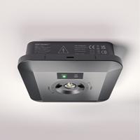 HOFTRONIC™ Fuga - LED Noodverlichting Opbouwspot Vierkant - Zwart - 1,6 Watt 280 Lumen - IP65 waterdicht - Testknop - Verwisselbare Lens - 6500K Daglichtwit Licht