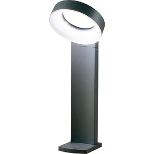 Asti staande lamp met led verlichting ringvorm antraciet 7274-370
