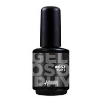 Astonishing Nails Gelosophy #033 Slate 15ml Astonishing Nails Gelosophy #033 Slate 15ml