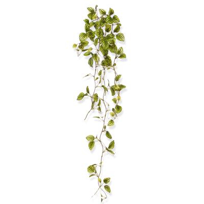 Peperomia Kunsthangtak bont 80cm