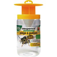 Wespenval Insectenval