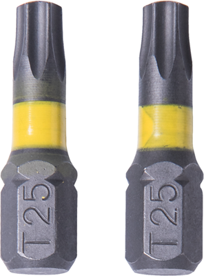 Connex bits torx g25 (2st) - coxt973072