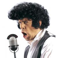 Rockster / popster pruik - jaren 70 - zwart - krullen en bakkebaarden - Tom Jones look pruik
