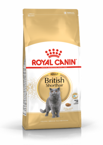 Royal Canin British Shorthair Adult droogvoer voor kat 10 kg Volwassen