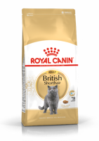 Royal Canin British Shorthair Adult droogvoer voor kat 10 kg Volwassen - thumbnail