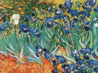 Kunstdruk Vincent Van Gogh - Iris 80x60cm
