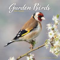 Garden Birds Kalender 2026