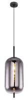 Globo HanglampBlacky zwart 1-lichts - 15345H2