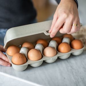 Koziol Bio-Circulair - Eggs To Go Eierdoos - Gerecycled Zonnebloemolie - Bruin