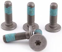 TRW bout screw 5pcs. m8x1,25