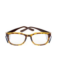 Bollé Safety Spicy Bruin Turtle