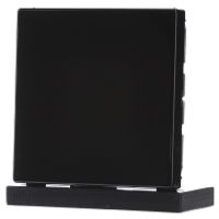 LS 994 B SW  - Cover plate for Blind plate black LS 994 B SW