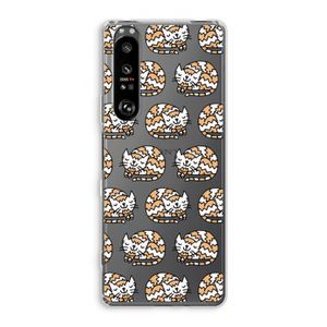 Slapende poes: Sony Xperia 1 III Transparant Hoesje
