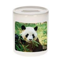 Dieren foto spaarpot panda 9 cm - pandaberen spaarpotten jongens en meisjes   -