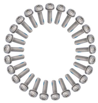 ANP BOUT M5X20 TORX M/PLAAT M/LOCTITE RVS DS A 25