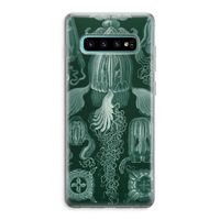 Haeckel Cubomedusae: Samsung Galaxy S10 Plus Transparant Hoesje