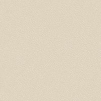 Dutch Wallcoverings Patagonia - Pinto - Cream