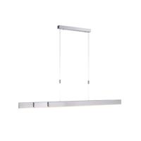 Paul Neuhaus Led hanglampPure-Moto geborsteld metaal - 2525-95
