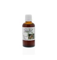 Arctostaphylus uva ursi/berendruif tinctuur