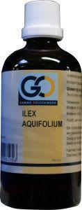 GO Ilex aquafolium