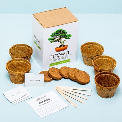 Kweek Je Eigen Bonsai Boom Set