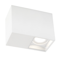 Wever & Ducre - Plano Surface 1.0 LED Plafondlamp