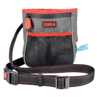 Kong hiking bag