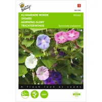 Ipomoea, Klimmende winde gemengd