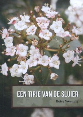 Een tipje van de sluier (Paperback)