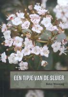 Een tipje van de sluier (Paperback)