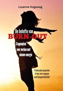 De belofte van burn-out - Lusanne Hogeweg - ebook