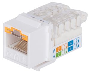 Intellinet abschließbare Cat6 Modularbuchse UTP Keystone werkzeuglos weiß RJ45-inbouwmodule Keystone CAT 3, CAT 4, CAT 5, CAT 5e, CAT 6