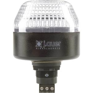 Auer Signalgeräte Signaallamp LED IBL 802504405 Helder Continulicht, Knipperlicht 24 V/DC, 24 V/AC