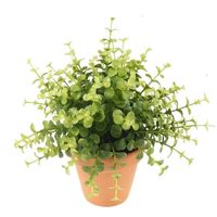 Kunstplant eucalyptus - groen - in terracotta pot - 20 cm   -