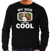 Spaniel honden sweater / trui my dog is serious cool zwart voor heren