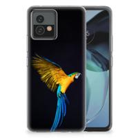 Motorola Moto G72 | TPU Hoesje | Papegaai