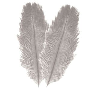 Struisvogelveren/sierveren - 2x - licht grijs - 30-35 cm - decoratie/hobbymateriaal   -